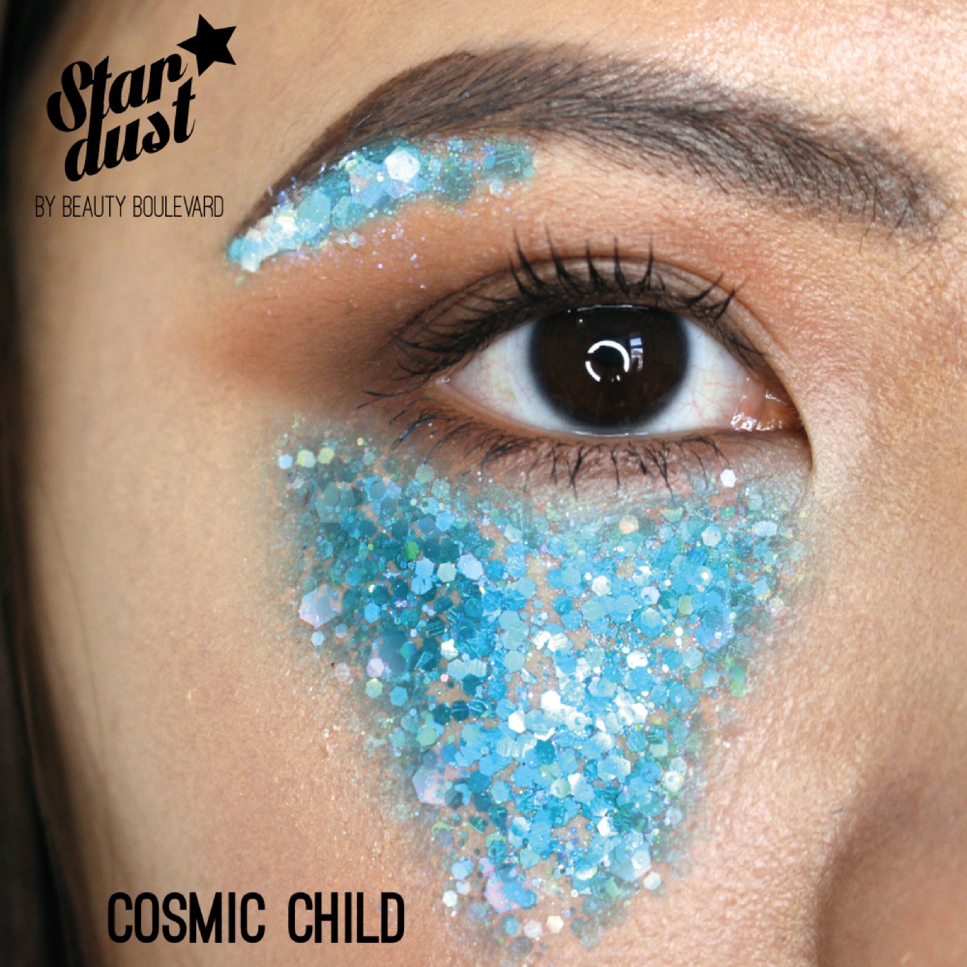 Stardust in Cosmic Child, Model