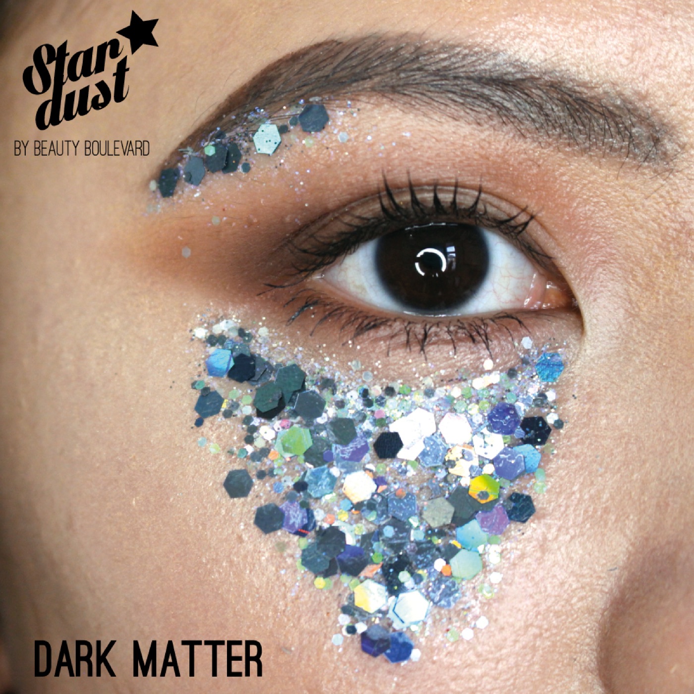 Stardust in Dark Matter, Model