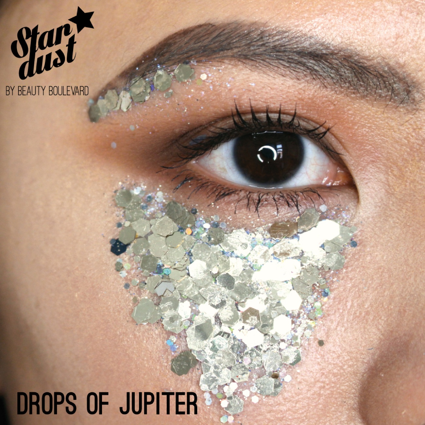 Stardust in Drops of Jupiter, Model