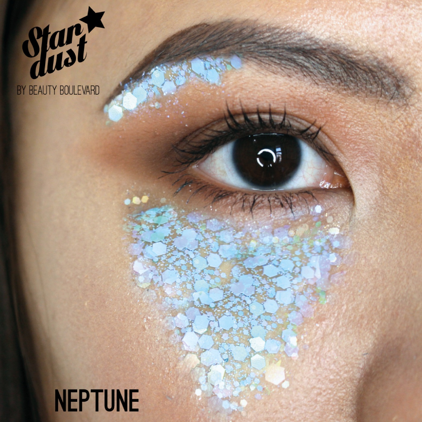 Stardust in Neptune, Model