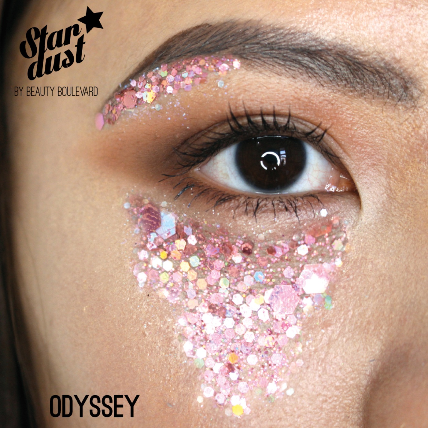 Stardust in Odyssey, Model