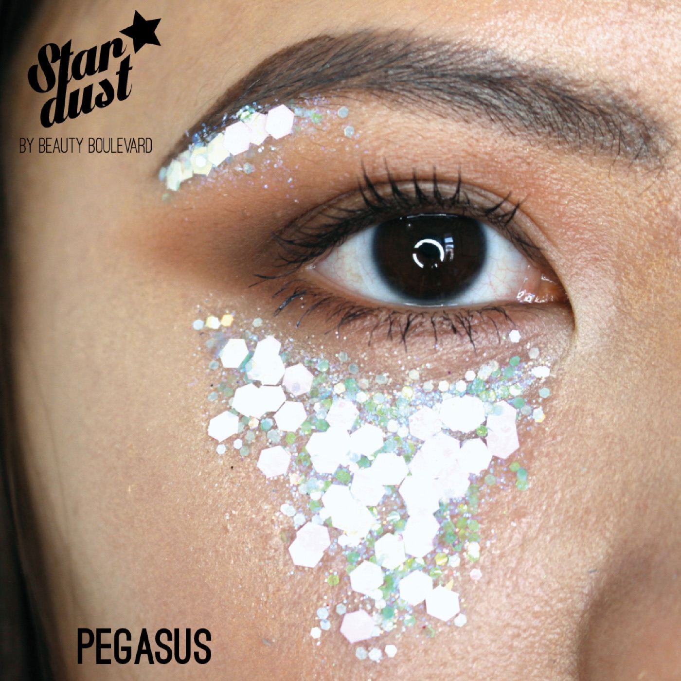 Stardust in Pegasus, Model
