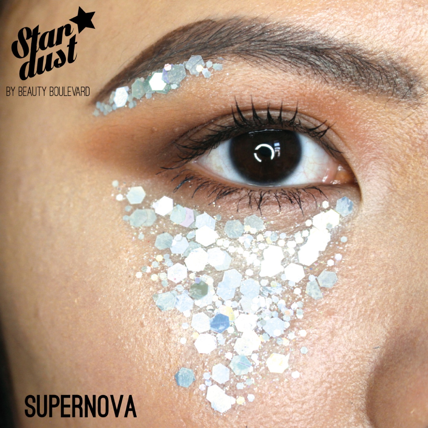 Stardust in Supernova, Model